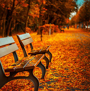 代理价格优势的cc网页端