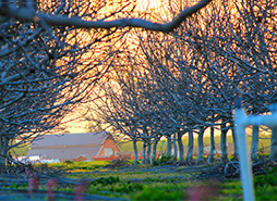 攻击网站的方法